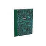 Libro de Registros Mayor